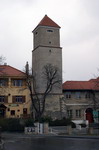 grafika